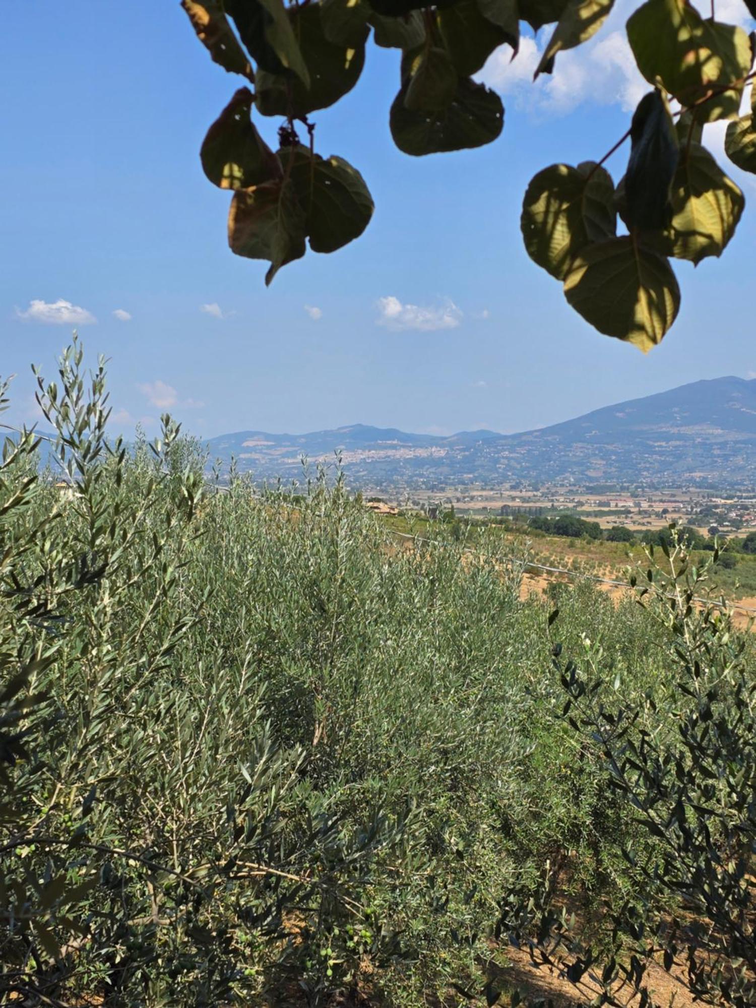 Dimora Kalipe Villa Limigiano Dış mekan fotoğraf