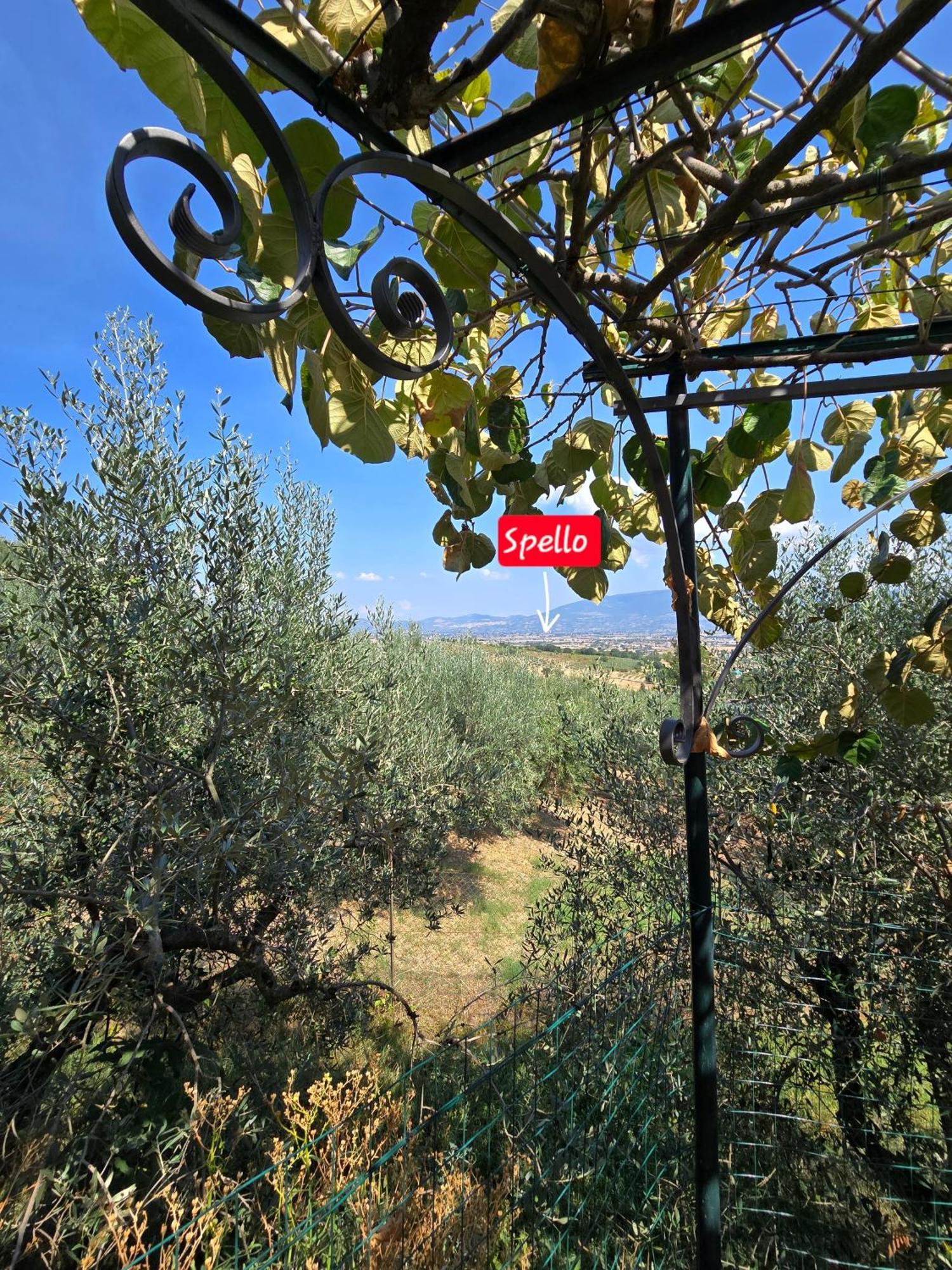 Dimora Kalipe Villa Limigiano Dış mekan fotoğraf