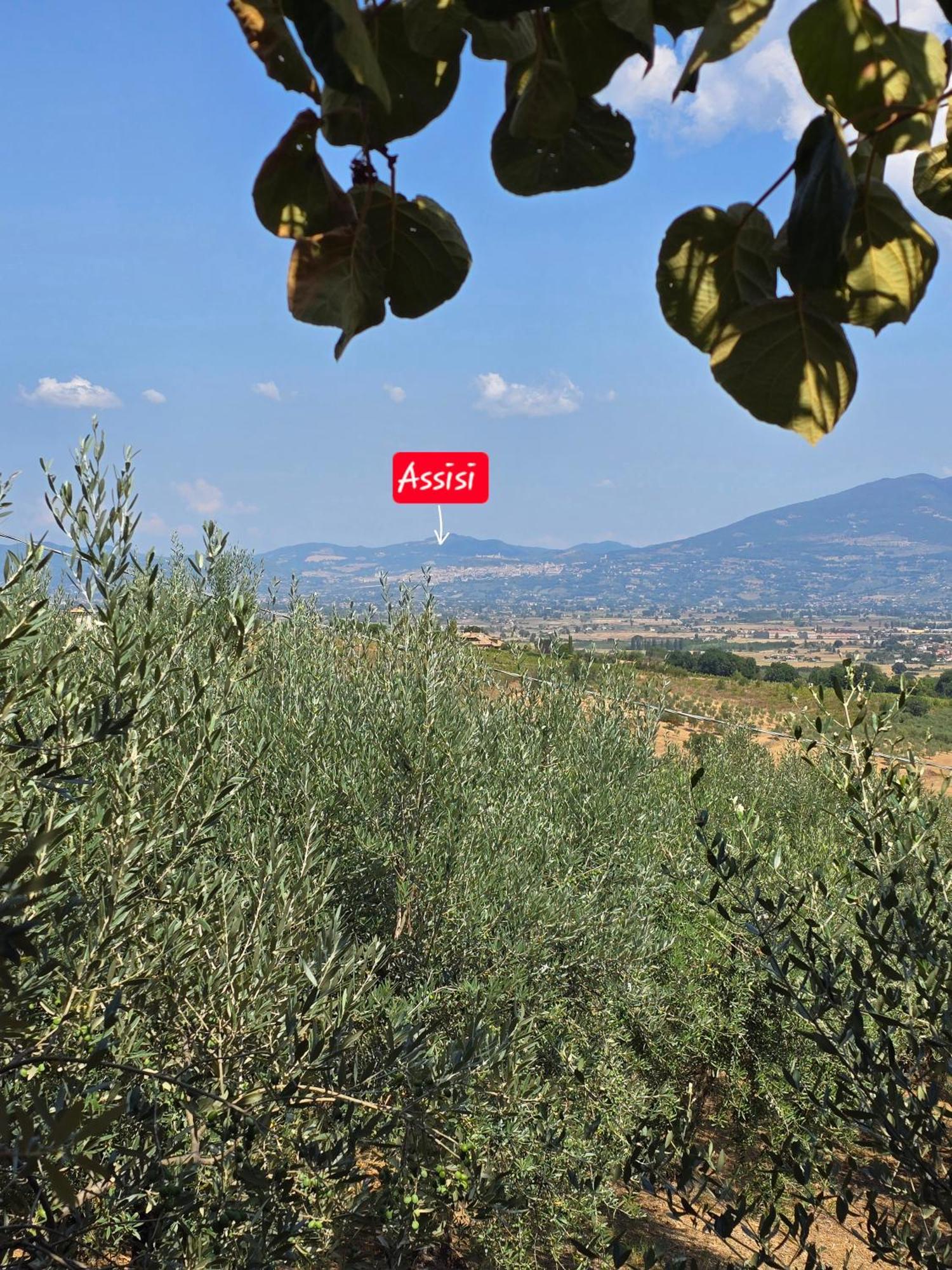 Dimora Kalipe Villa Limigiano Dış mekan fotoğraf